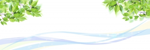 23884254_s.jpg