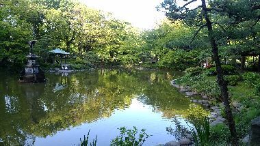 IMG_20170502_155703-1.jpg