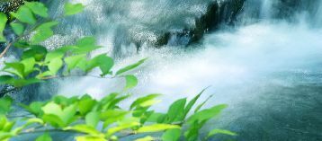 river_00027-1.jpg